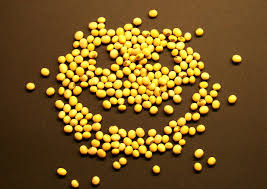 Sojabohnen Im Garten Selber Anbauen Sojabohnen Gemusegarten Anlegen Garten