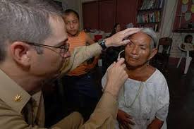 Image result for Nicolasia