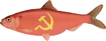 Image result for Red Herring
