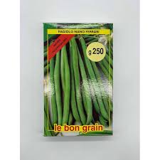 Soiurile de fasole pentru boabe trebuie sa aiba capacitate mare de productie, perioada scurta de vegetatie, continut ridicat de proteina, rezistenta buna la boli si daunatori, port erect al tulpinii la maturitate, insertie cat mai inalta a primei pastai, maturare uniforma a pastailor. Fasole Ferrari