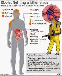 Marburg virus can cause severe and fatal haemorrhagic fever (vhf). Steven M News And Entertainments Its Important To Know More About Ebola Virus And Marburg Virus Which Related And Cause Hemorrhagic Fevers