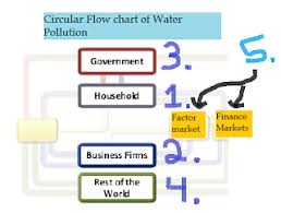 Florida Water Pollution The Problem And The Solution