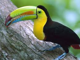 Pin On Anti Bird Net Price