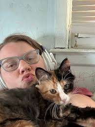 Found cat in Cedar Falls near Sartori Hospital