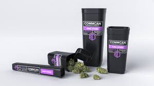 Download Commcan Sprout Studios