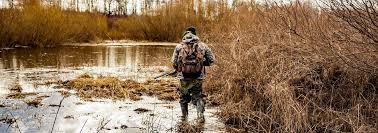 Maybe you would like to learn more about one of these? Waterfowl Hunting Properties For Sale Mallard Ducks Geese Fay Ranches