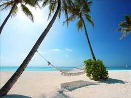 32 Carrapicho Chiki Chiki Ta Youtube Beach Beach Hammock Paradise Places