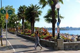 After booking, all of the property's details, including telephone and address, are provided in your. Palm Trees Of Canada Page 18 Skyscraperpage Forum