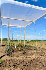 Unser kleiner Acker reloadedOur small field reloaded – Coconut & Vanilla