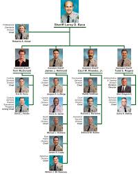 Department Organization