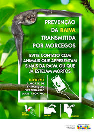 Material Educativo e Comunicação de Risco — Ministério da Agricultura e  Pecuária