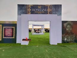 D'WendyBirds (@dwendybirds) • Instagram photos and videos