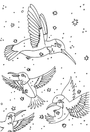 Top 10 Hummingbird Coloring Pages For Your Toddler Printable Coloring Pages Bird Coloring Pages Animal Coloring Pages