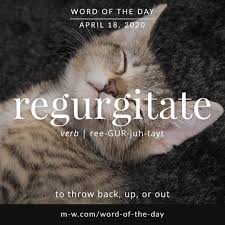 Regurgitate Is The Wordoftheday Language Languagelearning Merriamwebster Dictiona In 2020 Advanced English Vocabulary Word Of The Day English Vocabulary Words
