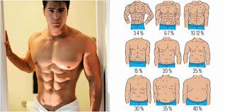 What Is Your Body Fat Percentage Bf Runner Rocky