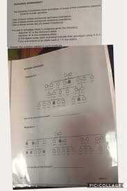 Human pedigrees answer key is available in our book collection an online access to it is set as public so you can download it instantly. Solved Pedigree Worksheet The Following 3 Pedigrees Show Chegg Com