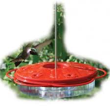 4.1 what are the features of a good hummingbird feeder? Dish And Saucer Style Hummingbird Feeders