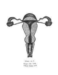 Uterus No 3 Female Holy Cross Drawing By Mahsa Khazeni Saatchi Art Download scientific diagram | schematic drawings of unicornuate uterus subtypes. uterus no 3 female holy cross drawing