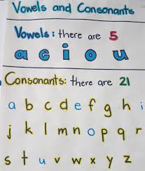 Explain to students that each letter has . Vowels And Consonants Teaching Vowels Vowel Anchor Chart Adverbs Lesson Plan