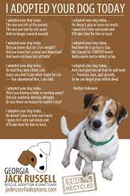 I Adopted Your Dog Today Jack Russell Dog Love Dogs And Puppies