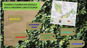 Fir larch  sederhana sejuk pantai barat (jenis british) penanaman gandum dijalankan di kawasan ini. Geografi Bab 8 By Alia Syahira