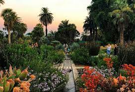 Green bay botanical garden cannot refund fees requested on or after the start date of a program or for sessions missed due to student illness or other personal situations. 5 Gorgeous Botanical Gardens In L A To Wander Through This Spring Secret Los Angeles