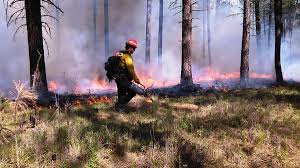 We did not find results for: Controlled Burn Wikipedia