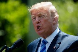 Nikki Haley's 5 finest moments at the UN