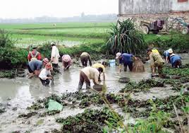 Kết quả hình ảnh cho Tết thời bao cấp