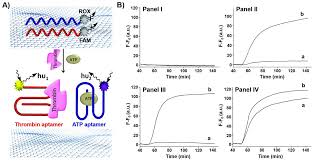 2.5.1 ibm spectrum virtualize for ibm flashsystem 9100. Ijms Free Full Text Aptamer Functionalized Hybrid Nanostructures For Sensing Drug Delivery Catalysis And Mechanical Applications Html
