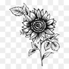 Free Free 294 Sunflower Clipart Black And White Svg SVG PNG EPS DXF File