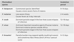 The genus plasmodium includes > 170 different species that infect mammals, reptiles, birds, and amphibians. Malaria Chapter 53 Questions For The Final Fficm Structured Oral Examination