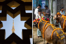 The day of sacrifice makes you realize that islam is a religion. Eid Al Adha 2018 Pictures How Did People Celebrate Around The World World News Express Co Uk