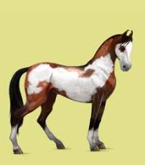 33 Best Howrse Images Horses Horse Drawings Horse Art