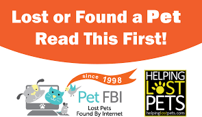 Helping every lost pet, tanza, cavite. Helping Lost Ferrets Home Facebook