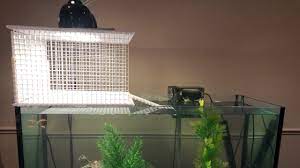 The Best D I Y Turtle Basking Dock 20 Youtube Turtle Dock Turtle Habitat Turtle
