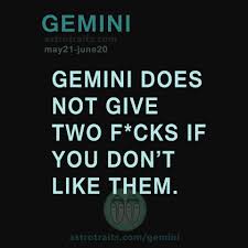 Shit Geminis Say 23 Sassy Funny Gemini Quotes Sayings