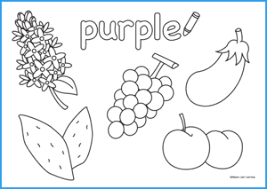 Printable purple sight words and letter trace coloring page featuring the color purple with a picture of grapes plus the color name tracing letters in capital and lower case. Purple Coloring Worksheet Maple Leaf Learning Library