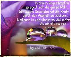 Pin Von Maria Binder Auf Spruche Weisheiten Zitate Weisheiten Spruche Zitate
