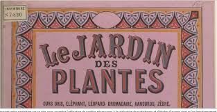 Maybe you would like to learn more about one of these? Image Selectionnee Carte Anniversaire Retardataire Gratuite Dromadaire 477164 Carte Anniversaire Retardataire Gratuite Dromadaire