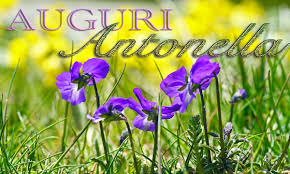 Oggi 28 febbraio festeggio con te la ricorrenza del tuo onomastico, facendoti gli auguri più sinceri ed affettuosi. Onomastico Antonella Frasi Di Auguri Significato Nome