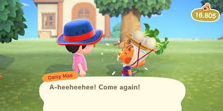 Why Daisy Mae Is So Hard To Find In Animal Crossing