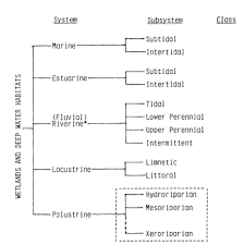 California Riparian Systems