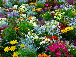 Collection by national garden bureau • last updated 7 days ago. Flower Garden Summer Free Photo On Pixabay