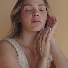 Amanda Double Link Earrings