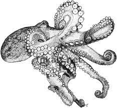Pin On Drawing Research