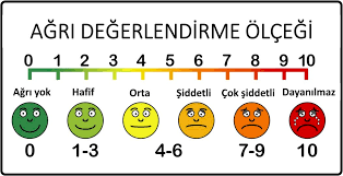 Kedilerin Aci Cekip Cekmedigini Anlamak Sanilandan Cok Daha Zor Anadolu Kedisi