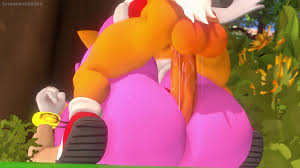 Sonic (series) Amy Rose 1girls 3d - Lewd.ninja