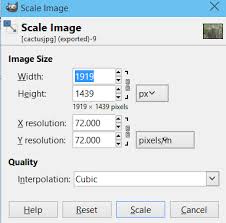 How To Resize Images From Your Camera Or Smartphone