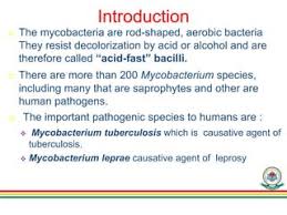 Microbiology – Page 11 – Lablogatory